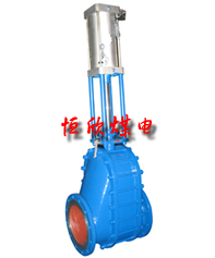 陶瓷雙閘板進料閥